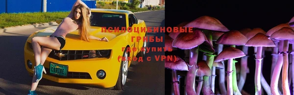 spice Балабаново