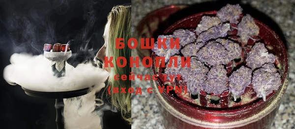 бошки Аркадак