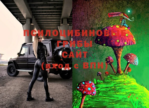 PSILOCYBIN Алексеевка