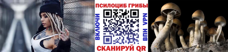 гидра сайт  Чебоксары  Псилоцибиновые грибы GOLDEN TEACHER 